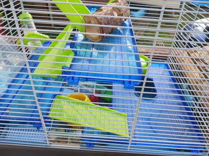 pet cages
