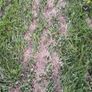 Slurry Separation Image 3