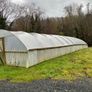 Market garden Image 5