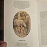 A Passion For Donkeys. By Dr Elizabeth D. Sevendsen. Large Volume Paperback In Good Condition.  See Photos For Same. Image 6