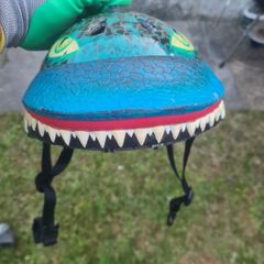 helmet