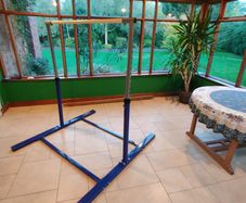 I Love Gymnastics Adjustable Kids Training High Bar (Excellent Condition)