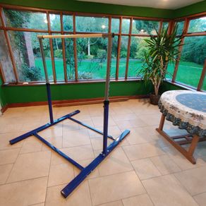 I Love Gymnastics Adjustable Kids Training High Bar (Excellent Condition)