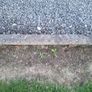Kerbs Image 3