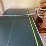 Butterfly Ping Pong Table Image 9