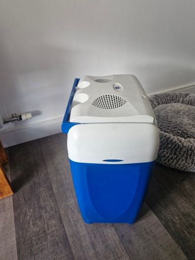 Portable electric cooler box