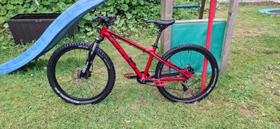 Vitus Nucleus 24 inch Kids Mountain Bike