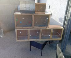 breeder cage