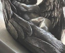 baby in wings