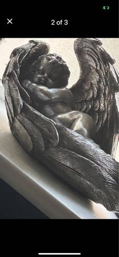 baby in wings