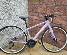 ladies bicycle