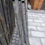 Dog Run Image 3