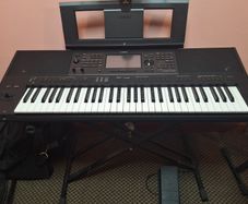 Musical  instruments