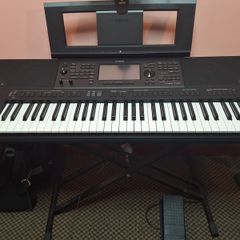 Musical  instruments