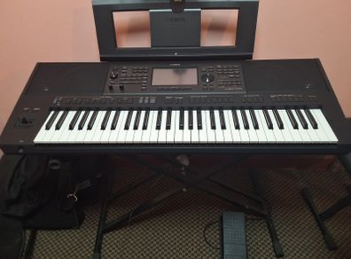 Musical  instruments