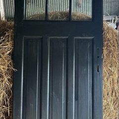 Black PVC door NO FRAME 34x82inches