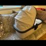 Zummi halo single to double buggy Image 10