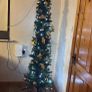 Christmas trees Image 2