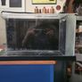 54 ltr fish tanks for sale Image 2