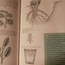 The Gardeners Handbook / Tessa Paul & Nigel Chadwick/ 1998 Image 7