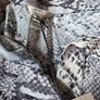 River Island Snake print chiffon shirt new with tags Image 3