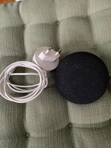 Google Home Mini