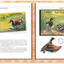 2004 Jersey (Channel Islands) Stamp Year Book (softback) issued by Jersey Post with 16 images of contents Image 8