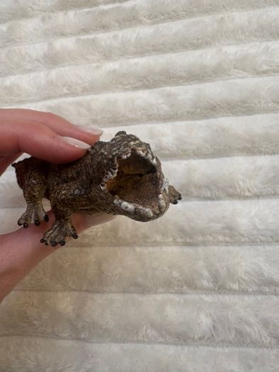 Schleich Alligator Crocodile Moveable Jaw D-73527 Used Please see photos