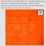 Mexican TALAVERA ceramic tiles Orange Image 5