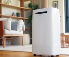 Dehumidifer ProBreeze 20L