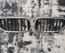 BMW grill