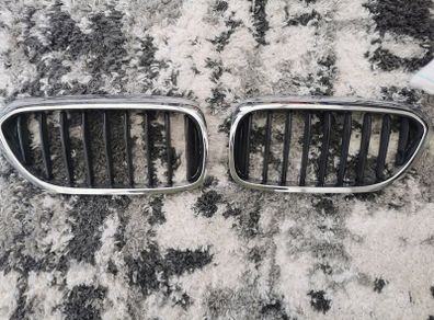 BMW grill