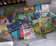 Children's Julia Donaldson books