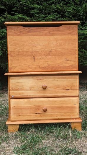 Toy storage, solid wood chest