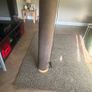 Sitting Room Rug, Lamp, Mirror, light shade Image 4