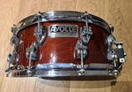 Ayotte Snare Drum