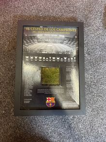 Barcalona camp nou grass