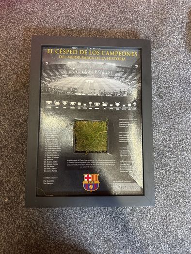 Barcalona camp nou grass