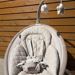 Nested Willow Baby Swing