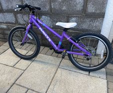 Dawes Paris 20 inch girls bike