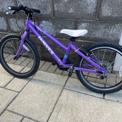 Dawes Paris 20 inch girls bike