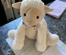 Francis Brennan Sheep Teddy