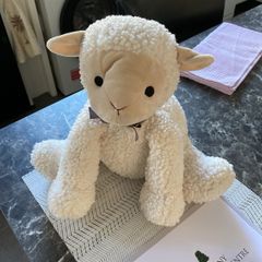 Francis Brennan Sheep Teddy