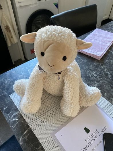 Francis Brennan Sheep Teddy