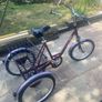 adult tricycle Image 4
