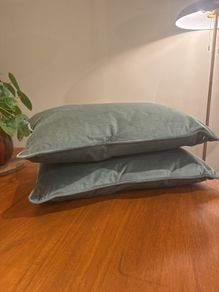 Sage Green Cushions