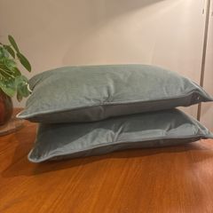 Sage Green Cushions