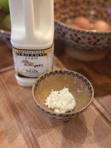 Organic milk kefir grains