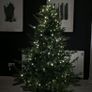 Christmas tree Image 4
