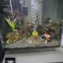 Aquarium Image 2